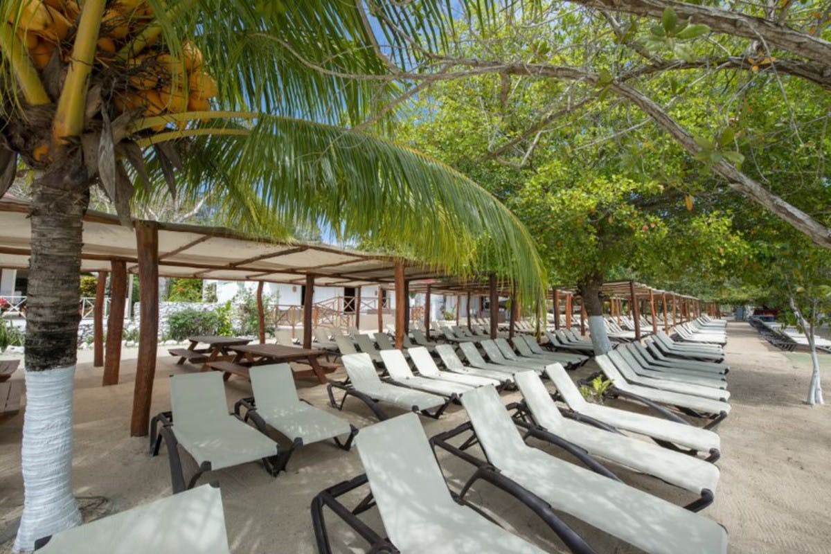 Chacchoben Tour & Villa Mahikal Lunch