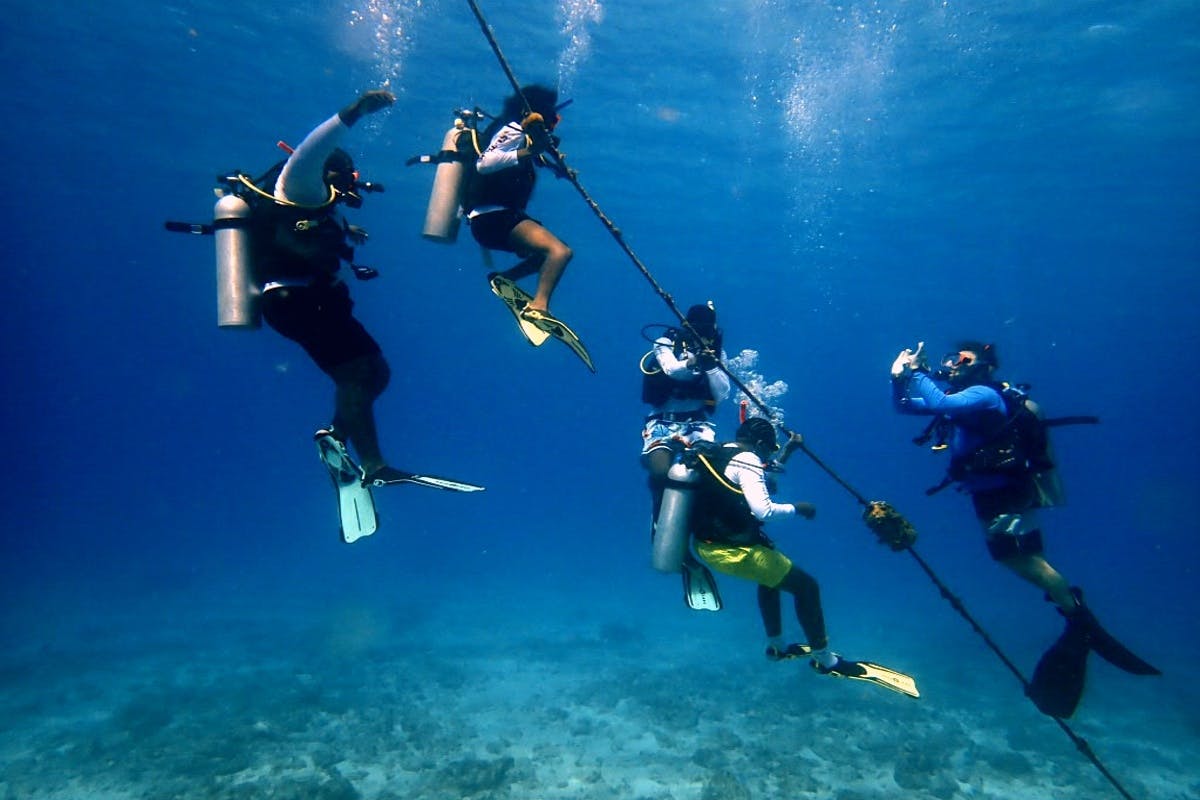Discover Scuba & Snorkel in St. Thomas