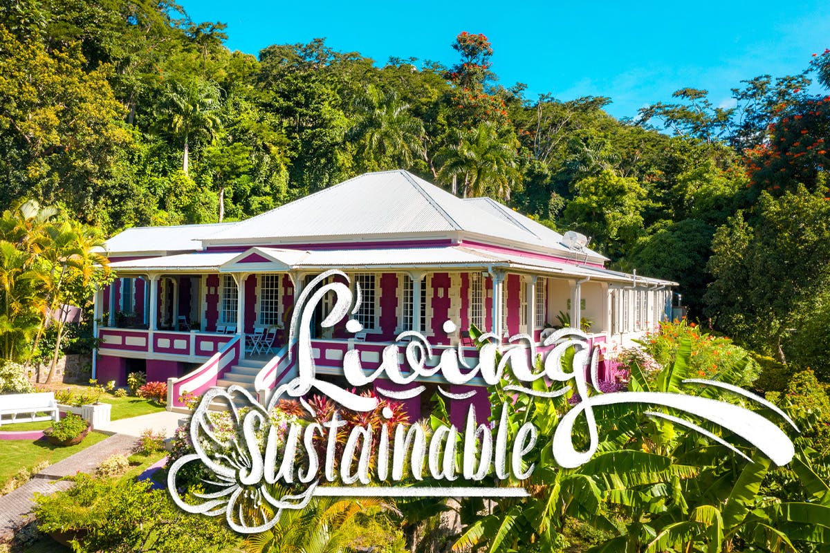 Living Sustainable