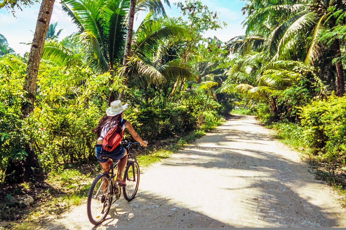 Woman biking down a trail surrounded by trees.