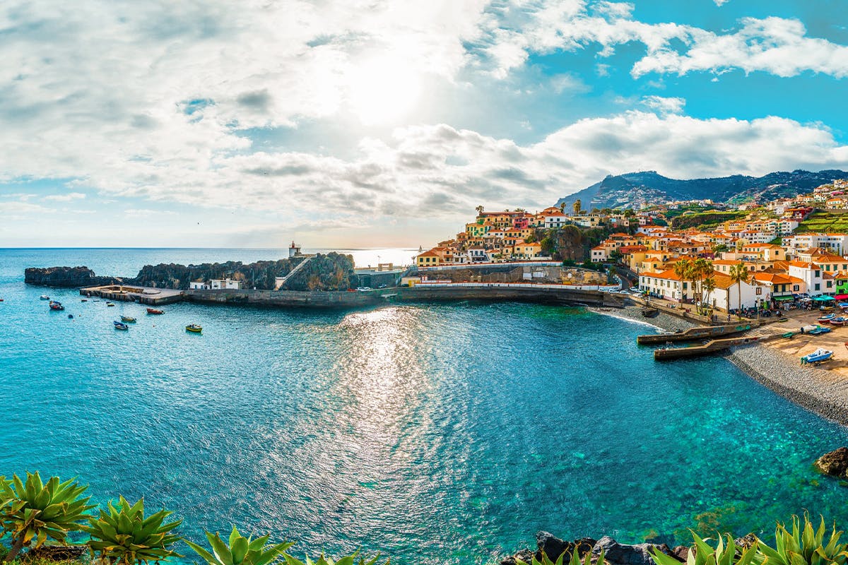 Ambulatory Accessible Madeira Views
