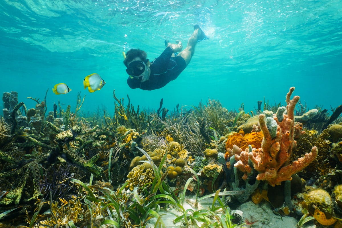  Snorkeling in Fort-de-France Bay