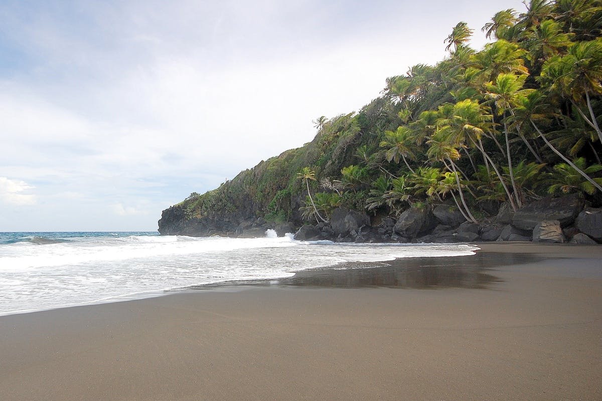 Cruise Coastal St. Vincent