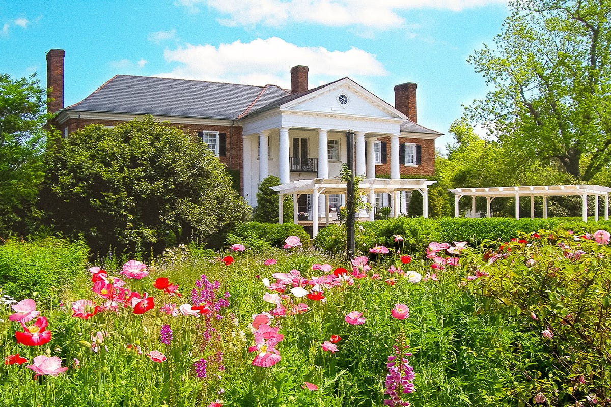 Boone Hall Plantation Tour