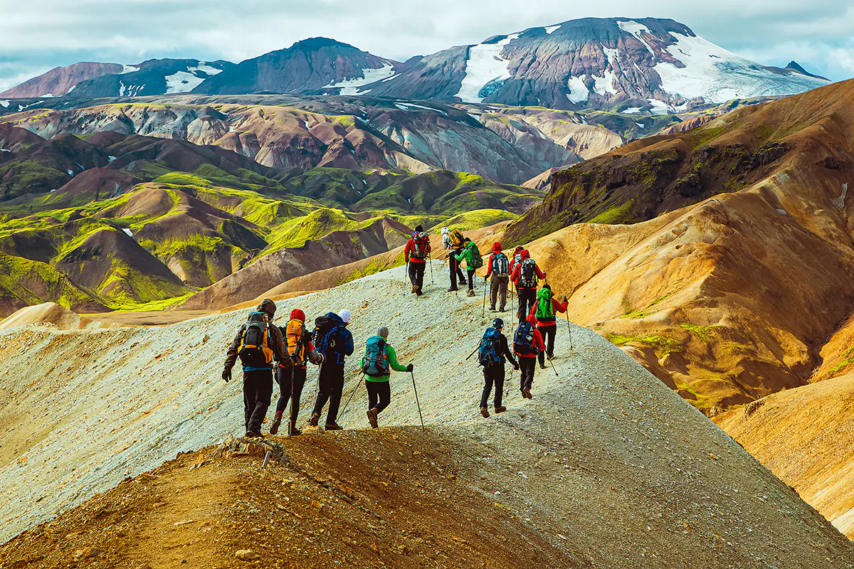 Iceland Hike & Forest Lagoon Geothermal Soak