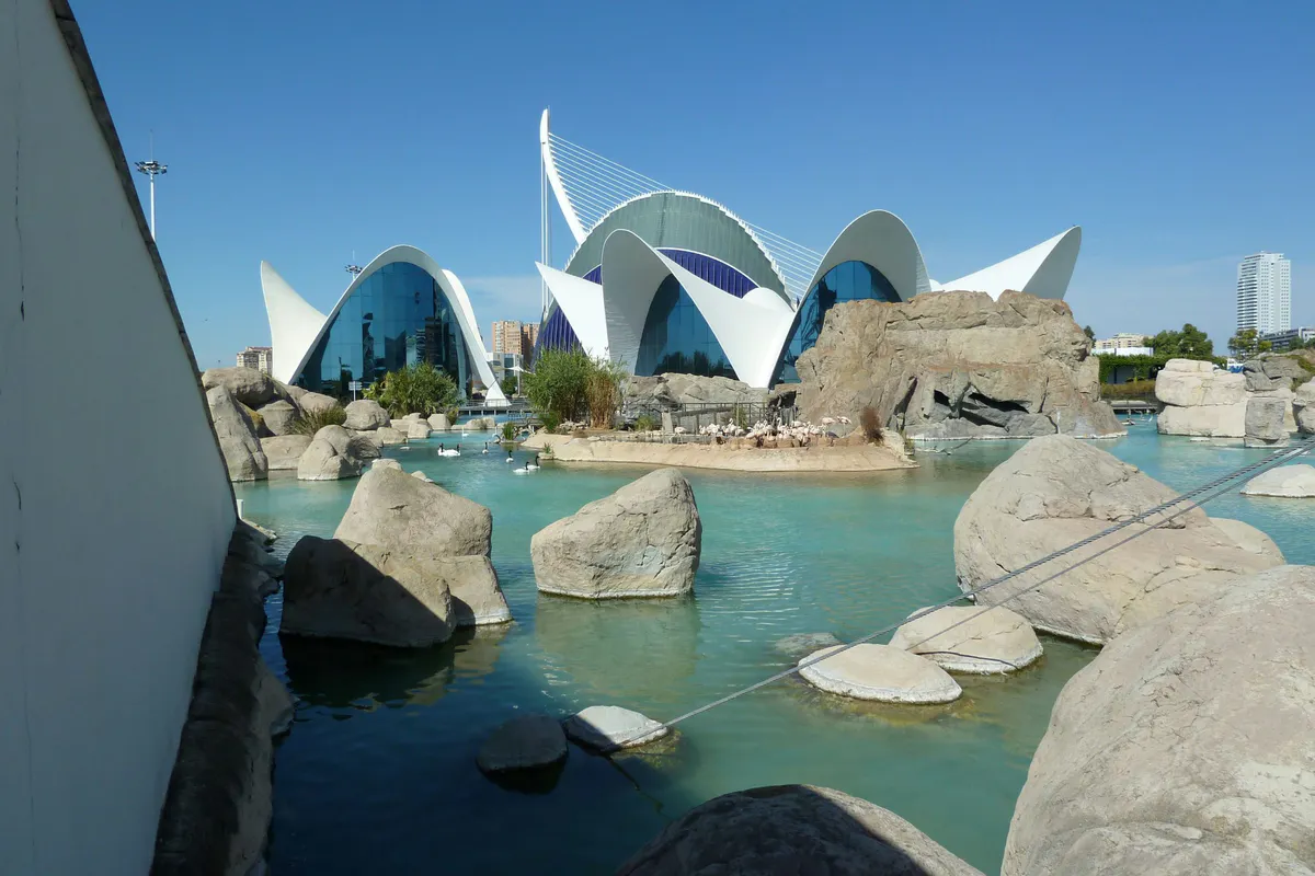 City of Arts and Sciences &amp; Paella