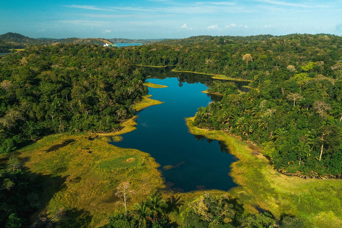 Aerial Tram Through Soberanía National Park