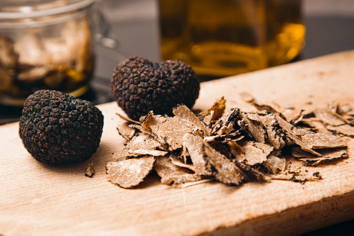 On the Hunt for Tuscan Truffles