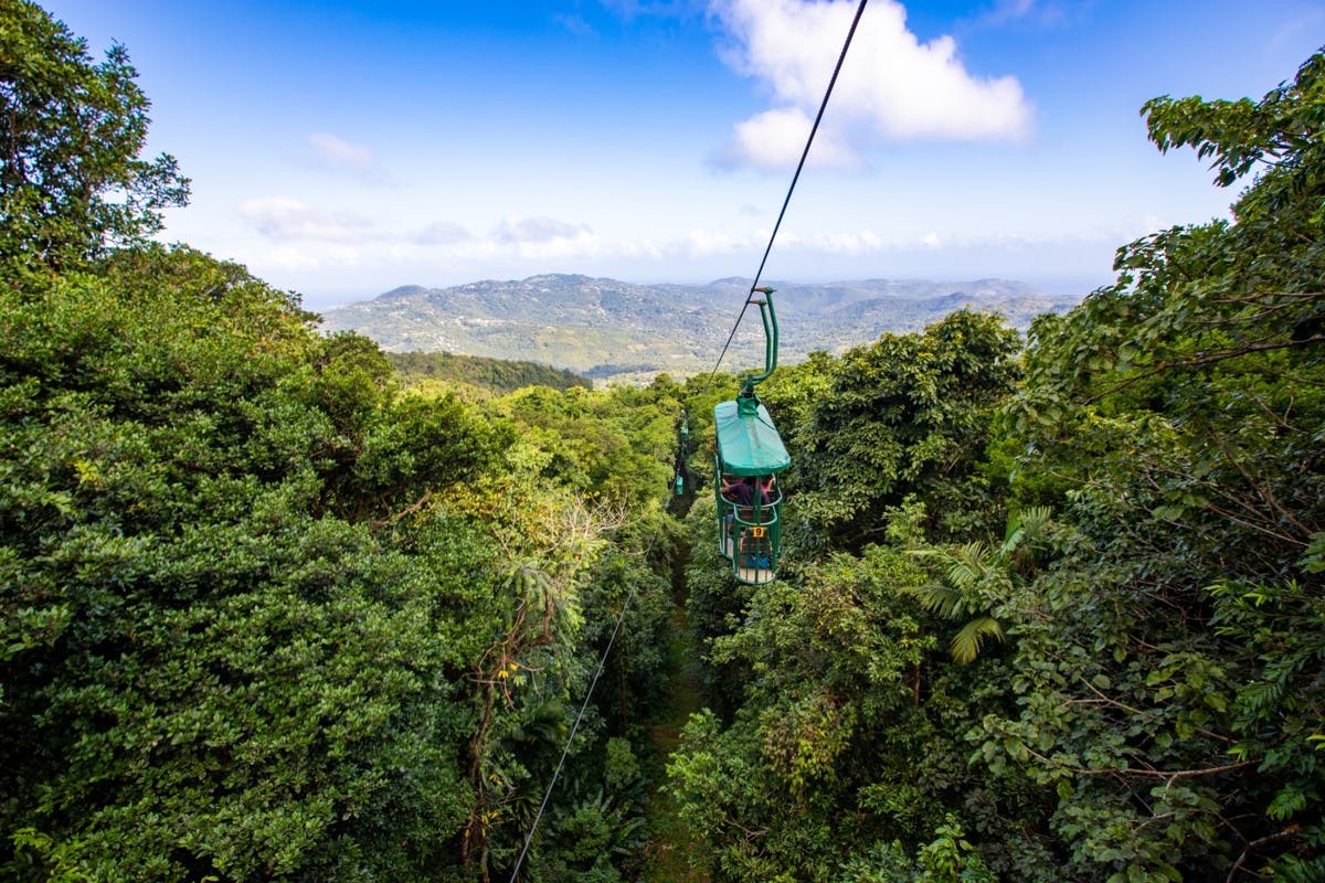 Aerial Tram - Sip Taste & Glide