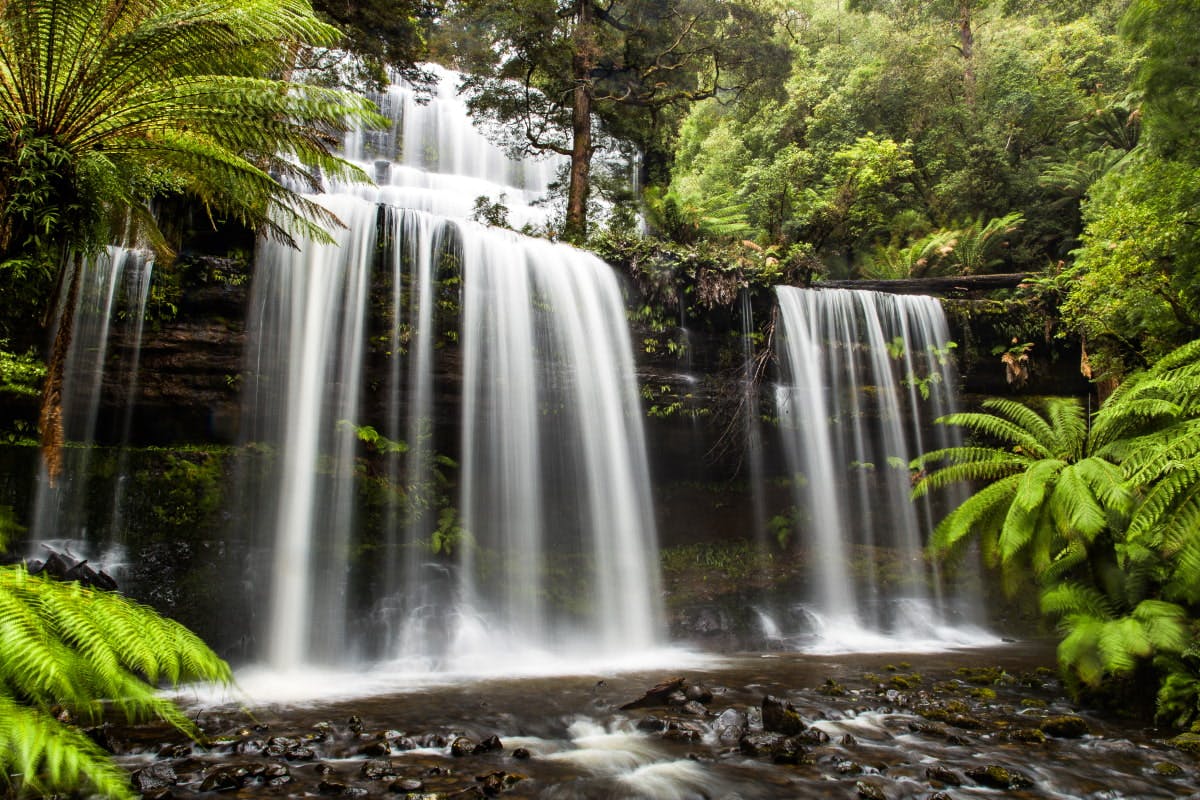 Tasmania