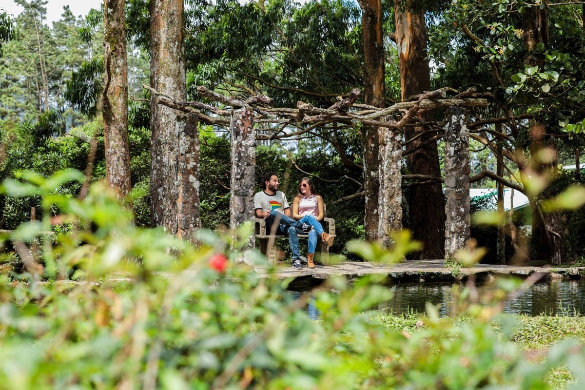 Aerial Tram Through Soberanía National Park