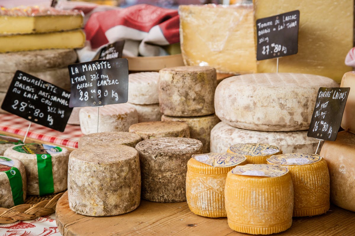 Toulon Cheesy Aix en Provence