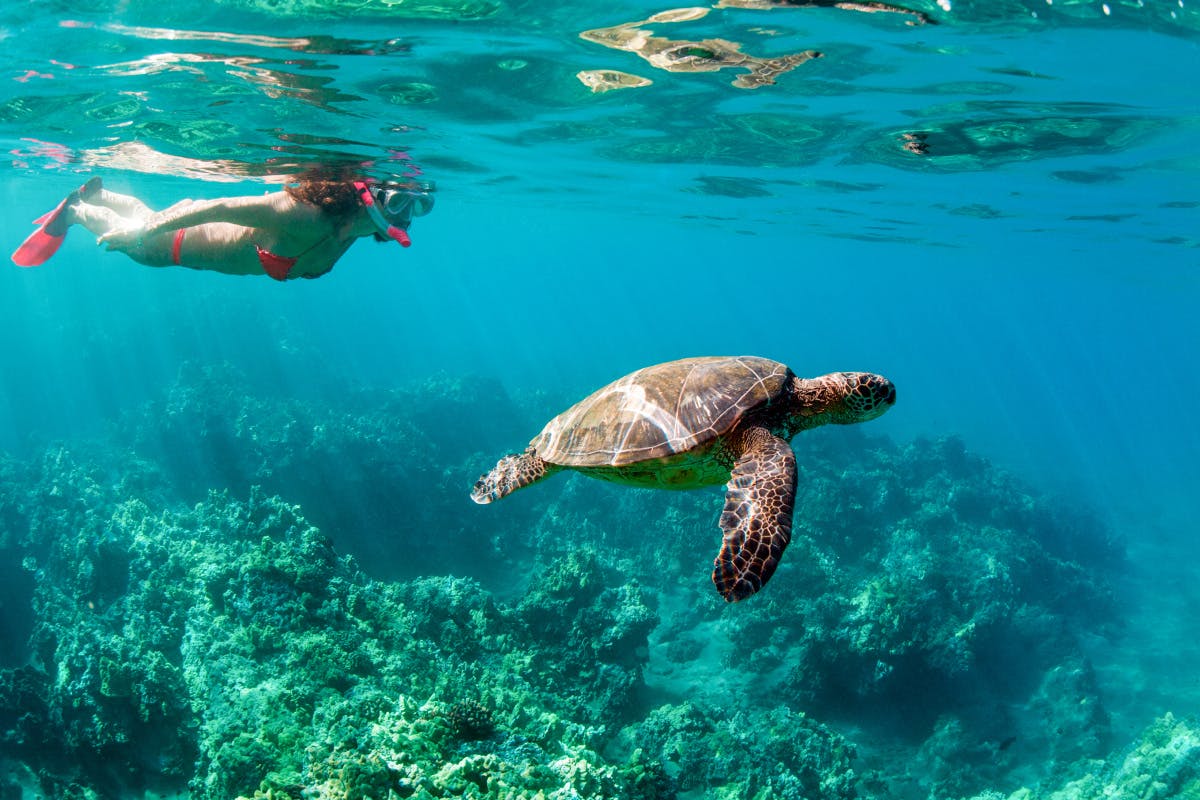 Snorkel in Key West