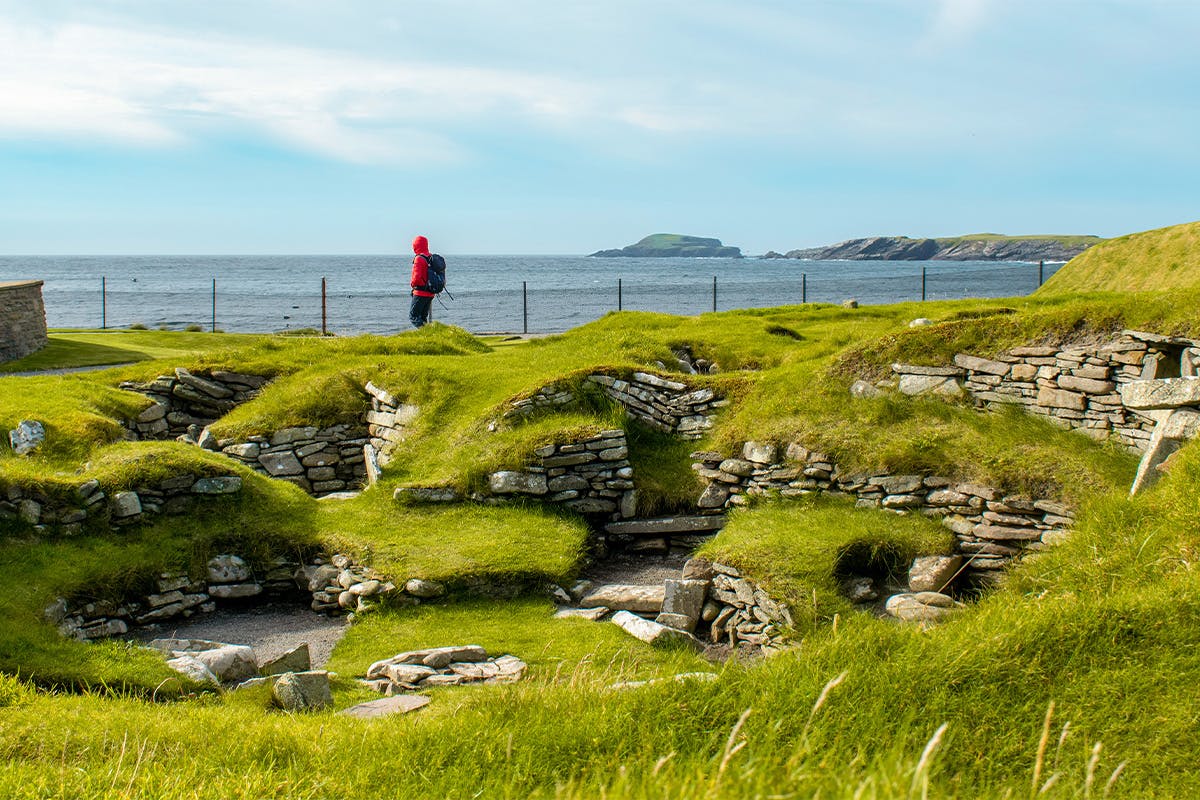 Seabird Watching & Lighthouse Keeping Tour
