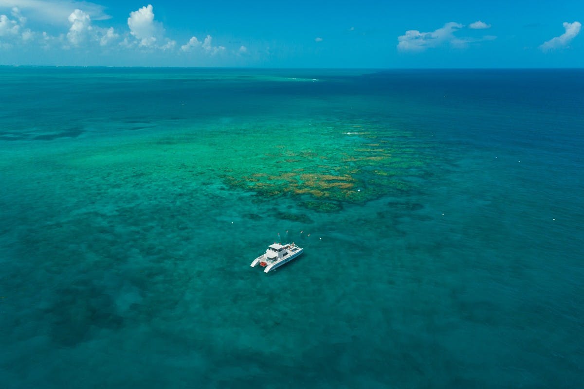 Double Dip Snorkel Trip in the Keys