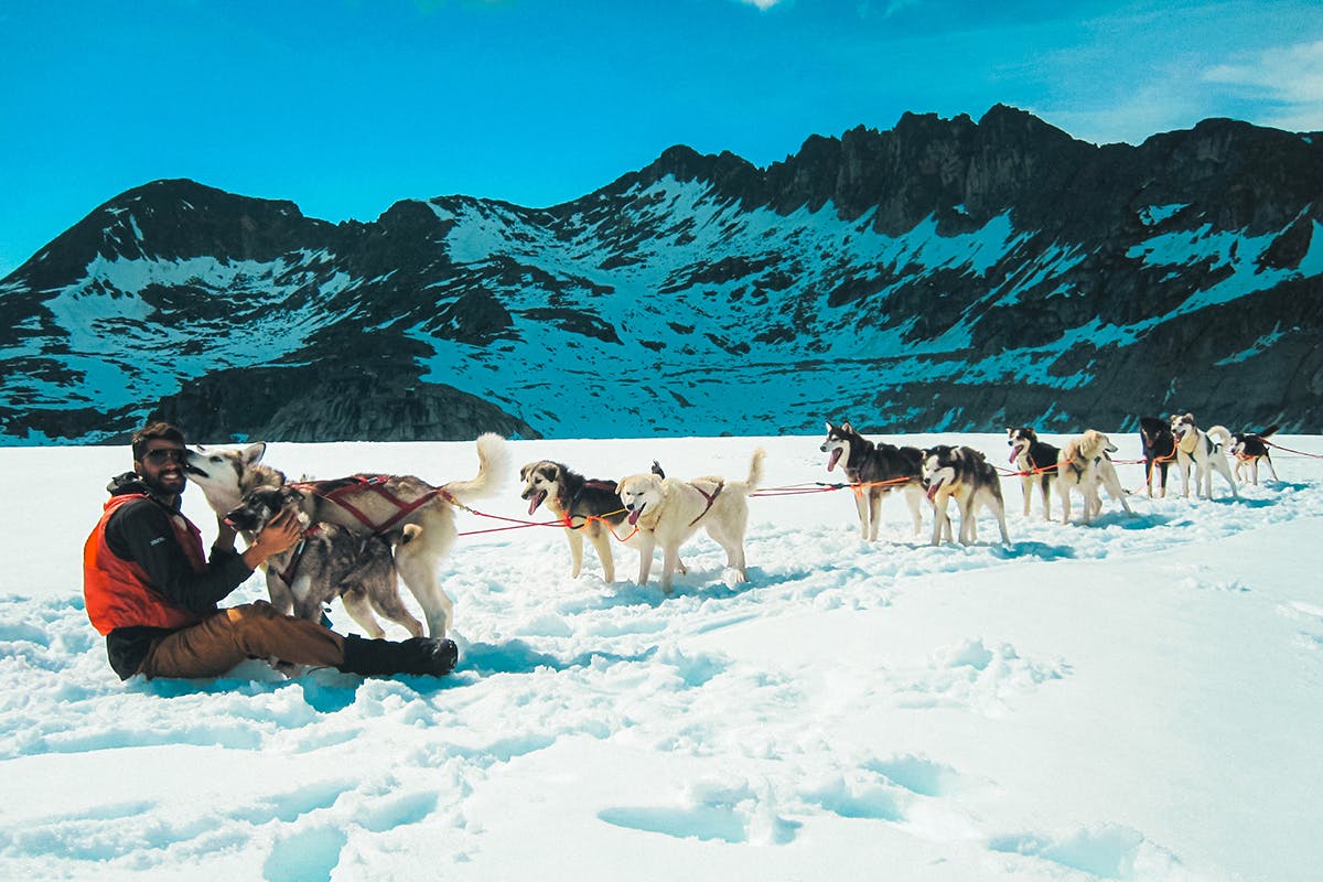 Glacier Helicopter & Sled Dogs