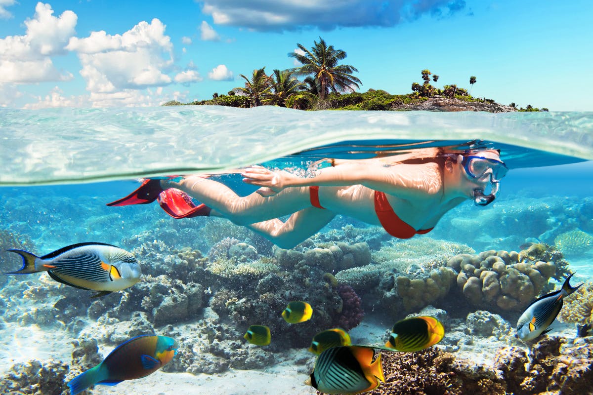 The Sail, Snorkel, Savor & Sip Experience