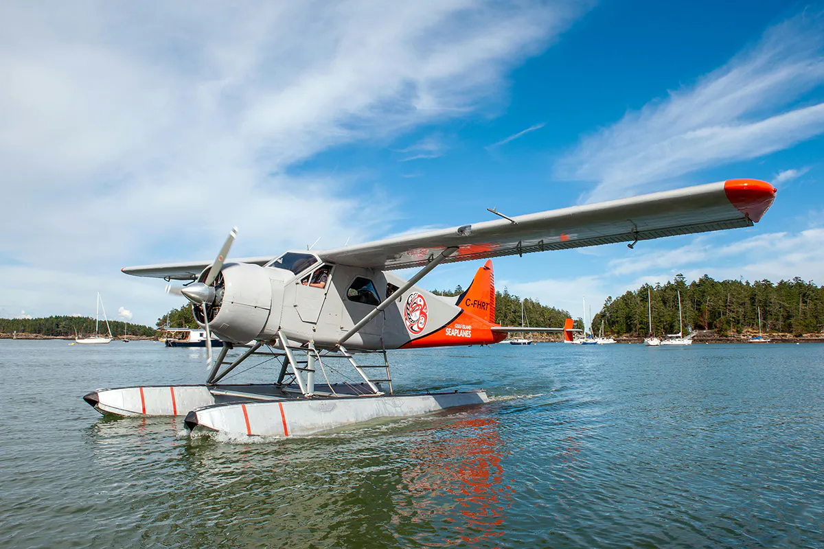 Great Bear Glaciers & Fjords Flight