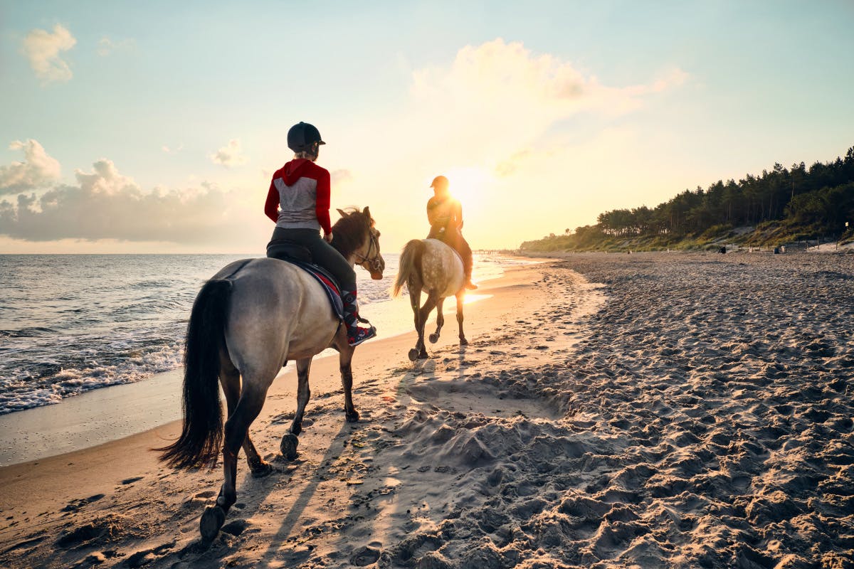 horseback riding on the beach