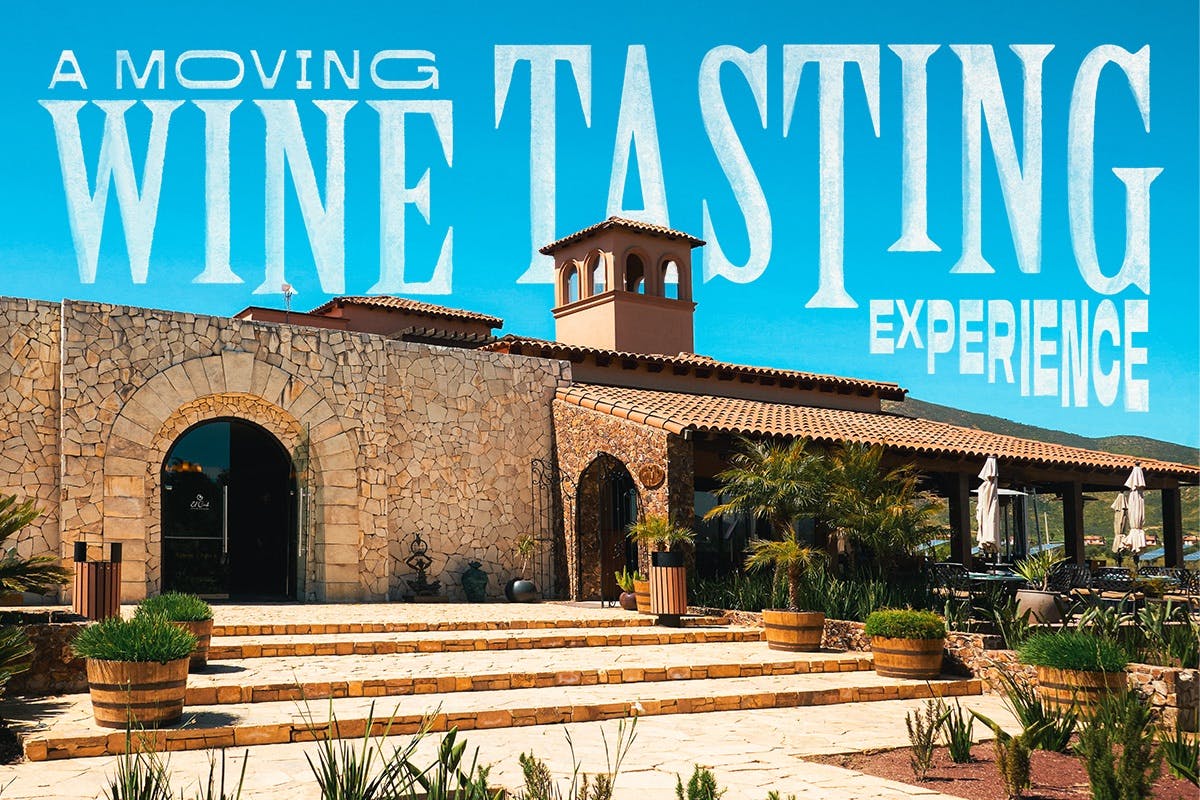 Wine Tasting & Wagon Tour