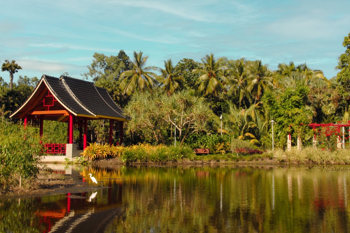 Botanical Gardens Palm Cove Beach