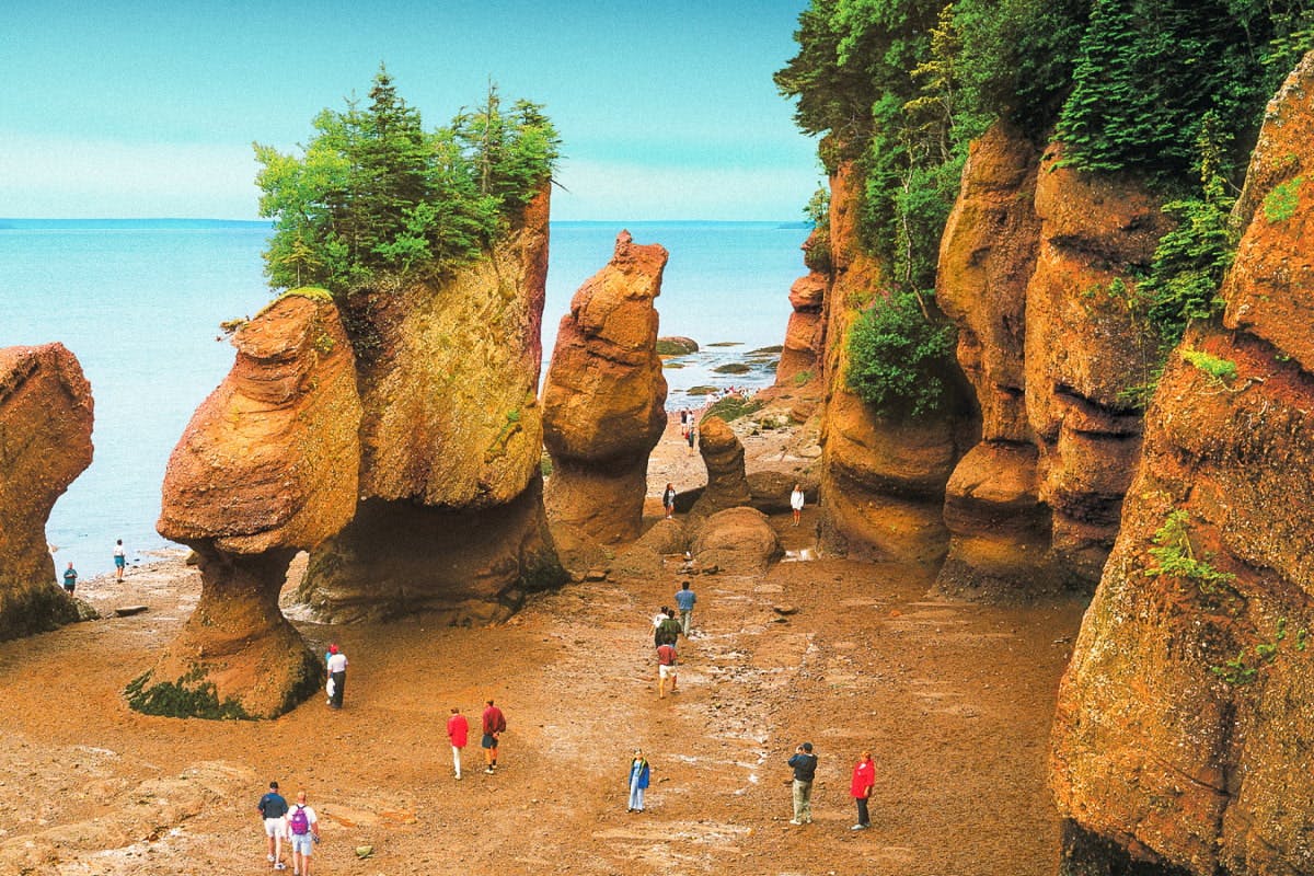 Hopewell Rocks & the Mighty Fundy Tides