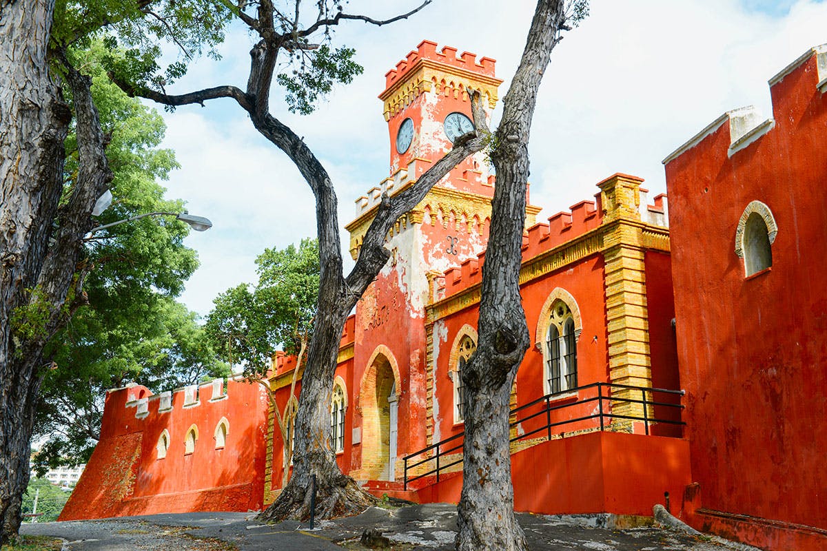 Ambulatory Accessible St. Thomas Island Tour