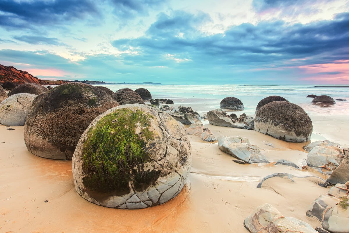 Moeraki Boulders, Ecosanctuary, & Historic Oamaru