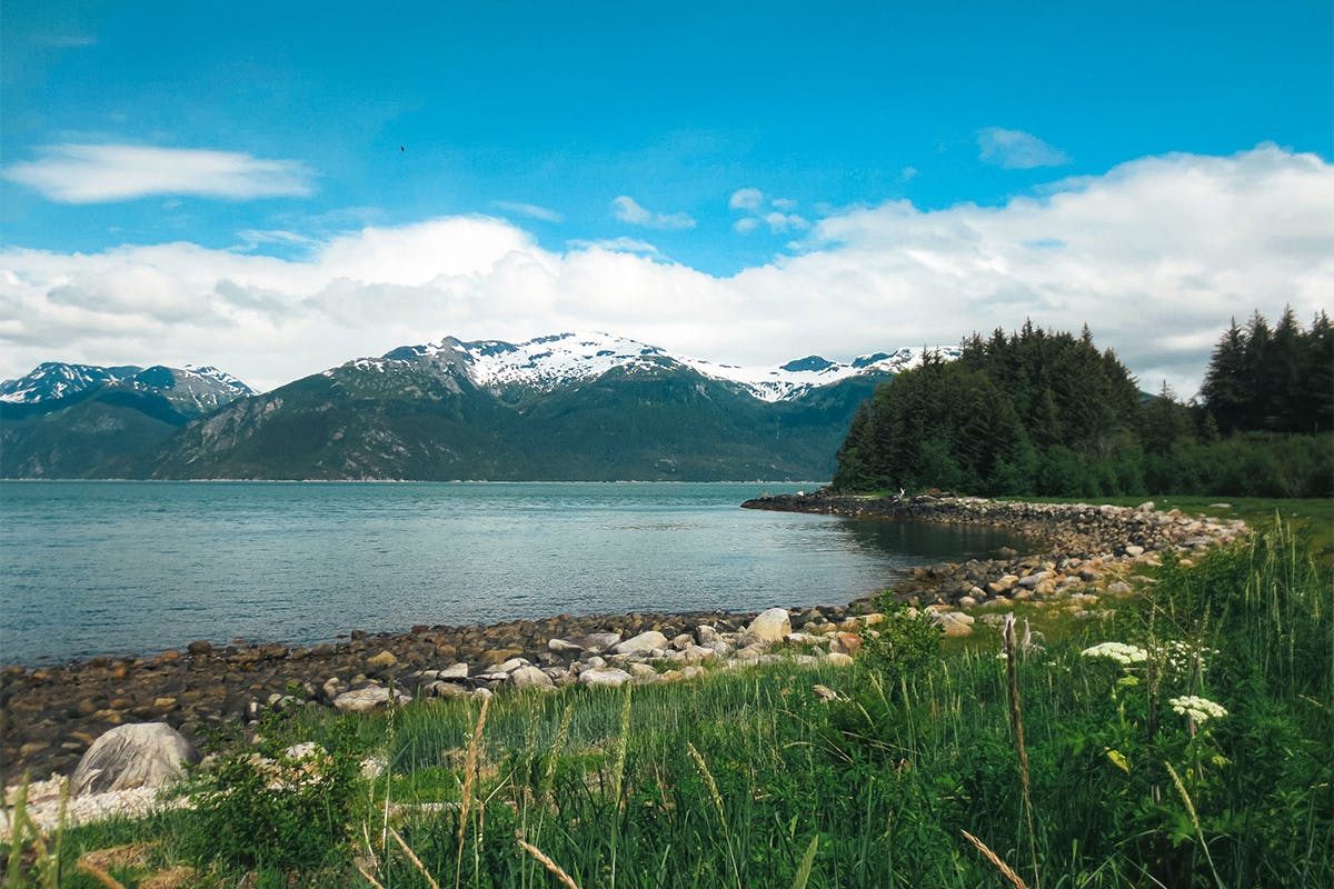 Peaceful Guided Forest Bathing Walk