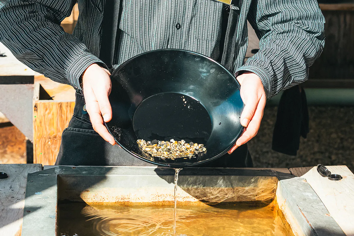 Gold Panning, Sled Dogs &amp; Exclusive Scenic Railway