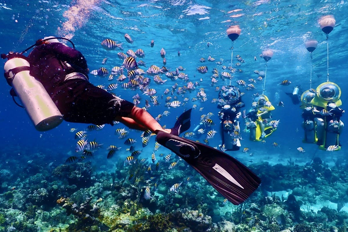 BOSS Underwater Adventure