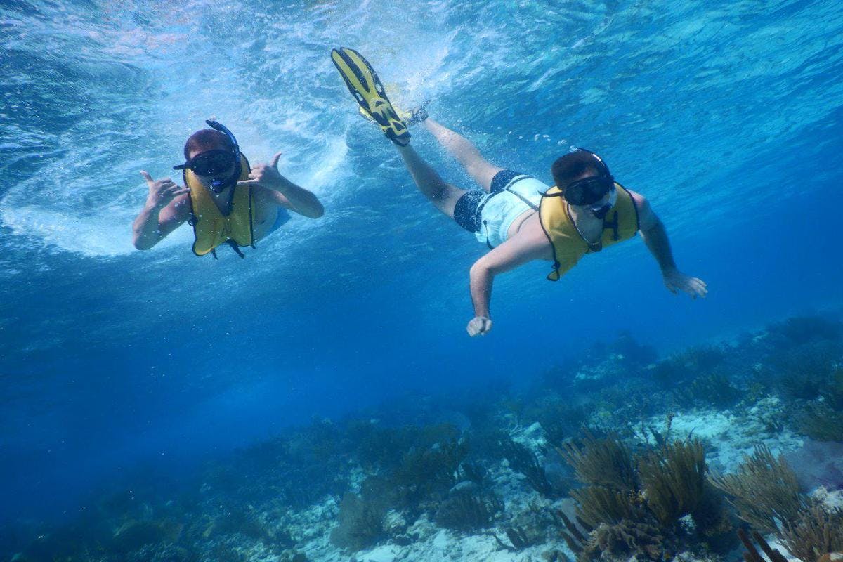 Barrier Reef Snorkel Adventure