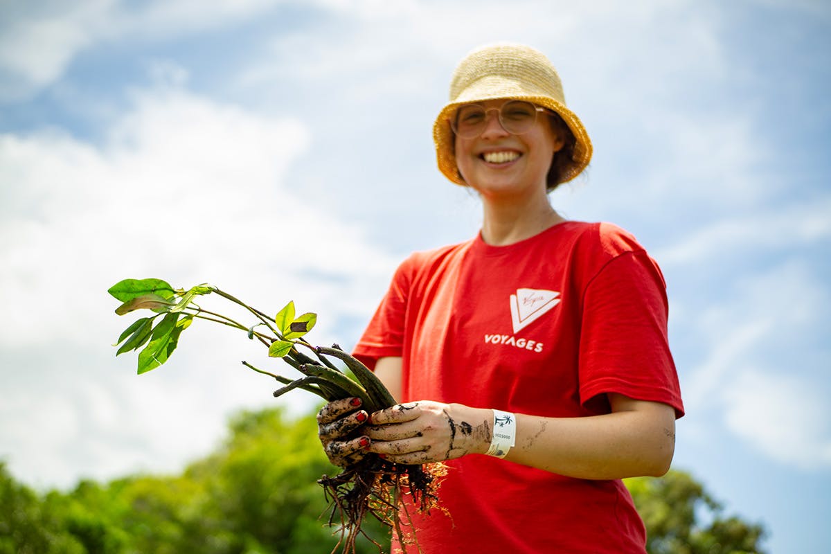 Impact Tour: Mangrove Planting & Cabarete's Lagoon