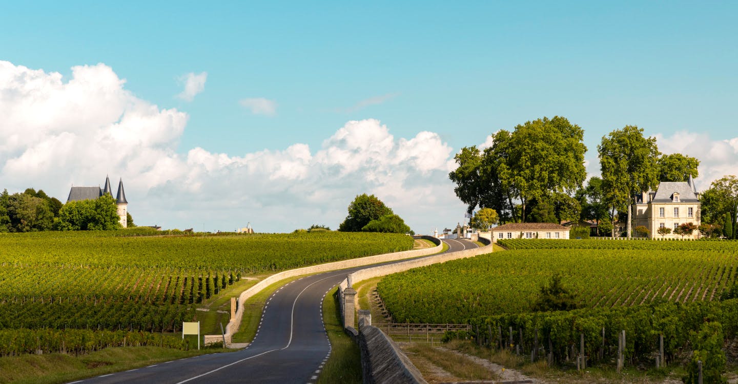 Médoc Vineyards Tour