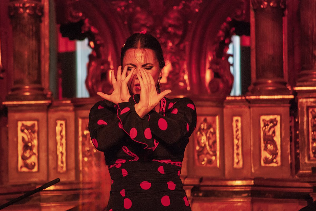 Vino & Flamenco Revelry