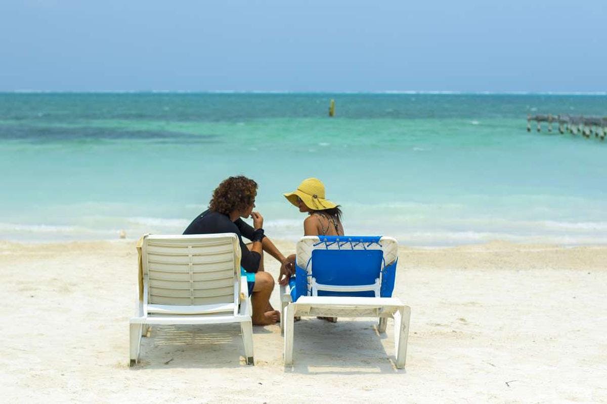 Shark & Ray Encounter and Reef Snorkeling