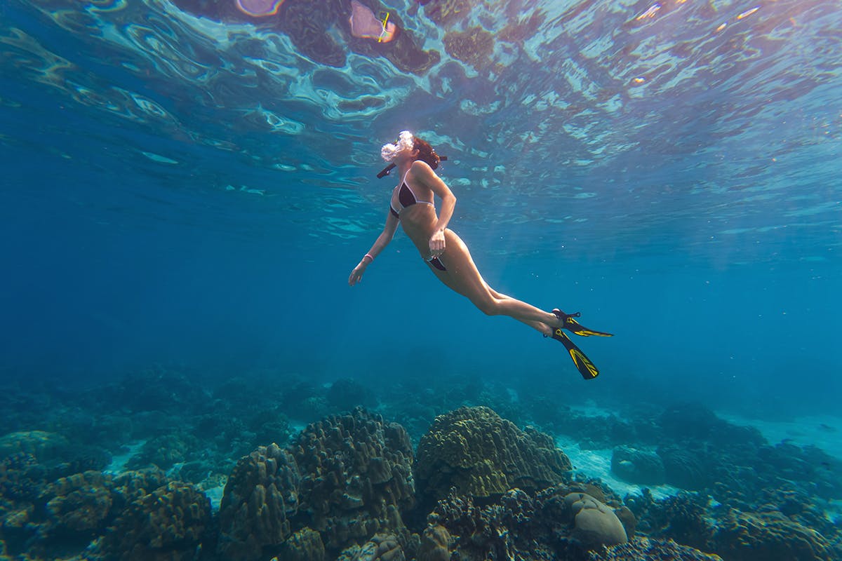 Baru Island Snorkeling Adventure