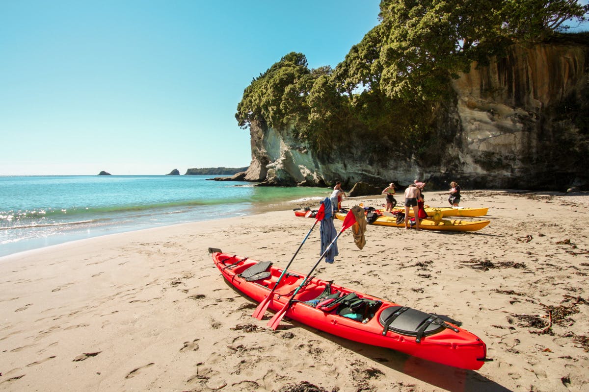 Flea Bay Sea Kayak Adventure
