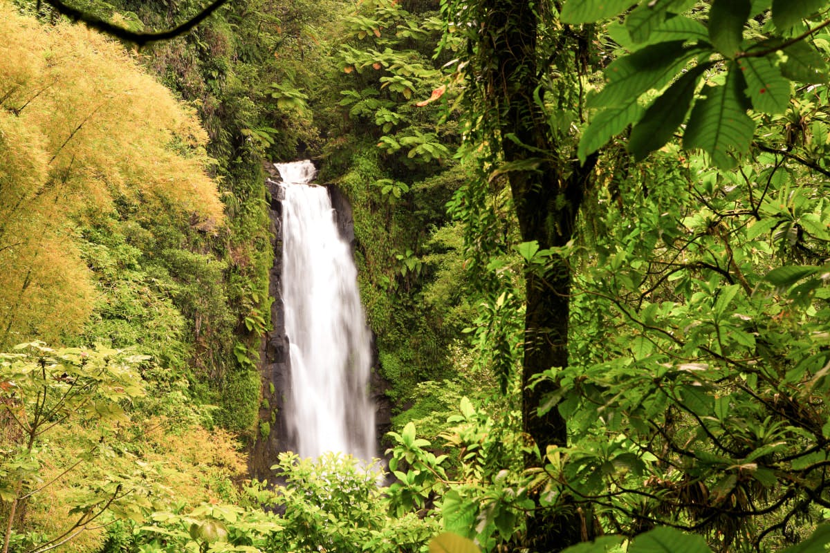 Middleham Waterfall & Riverside Cookout