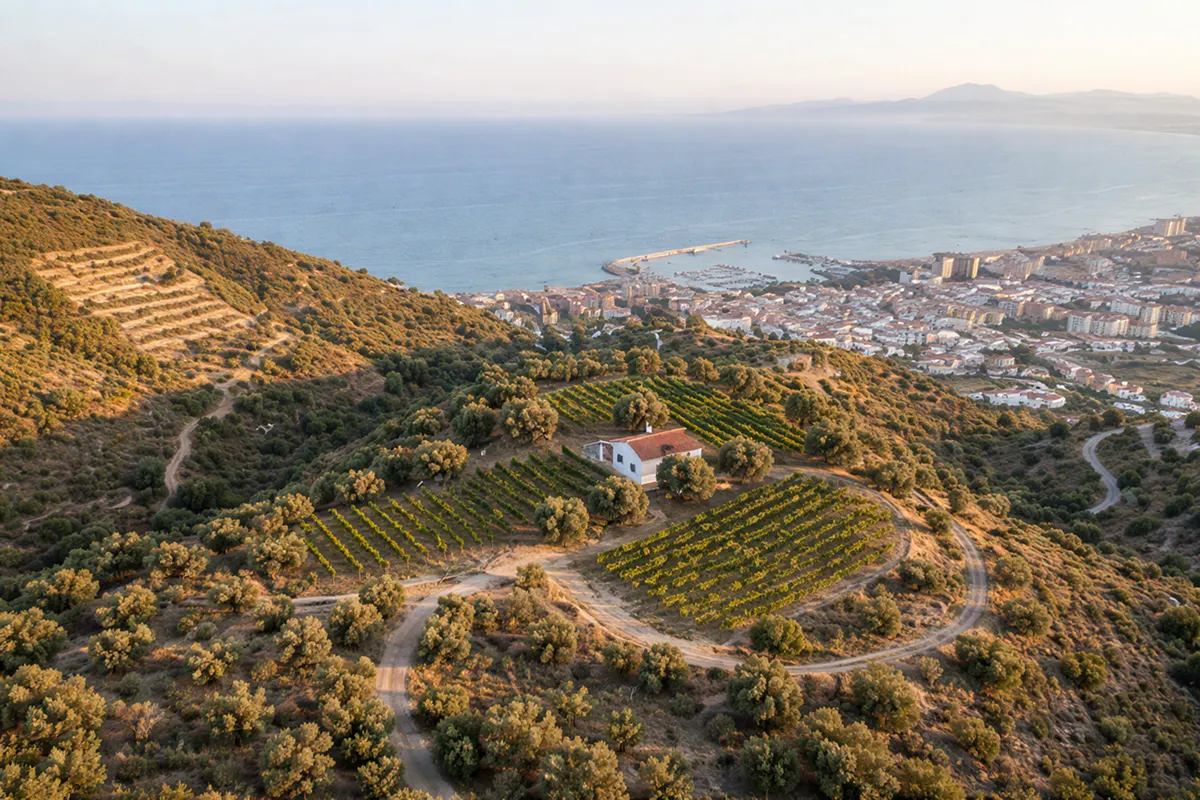 Málaga Organic Wine Escape