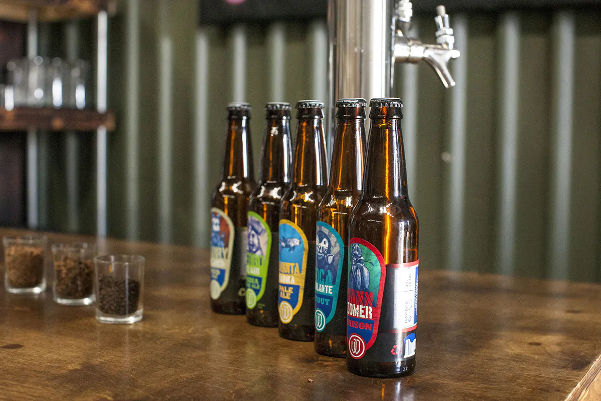 Baja on Tap: Beer, Tacos & Pizza