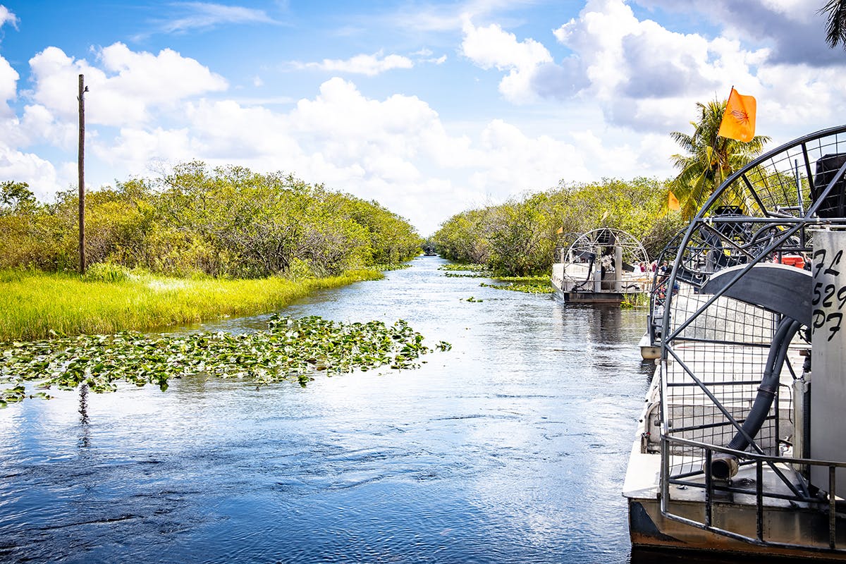 Everglades Gator Park Adventure