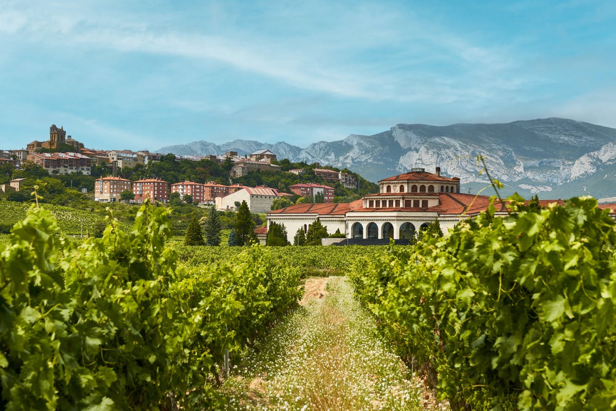 La Rioja and Vineyards
