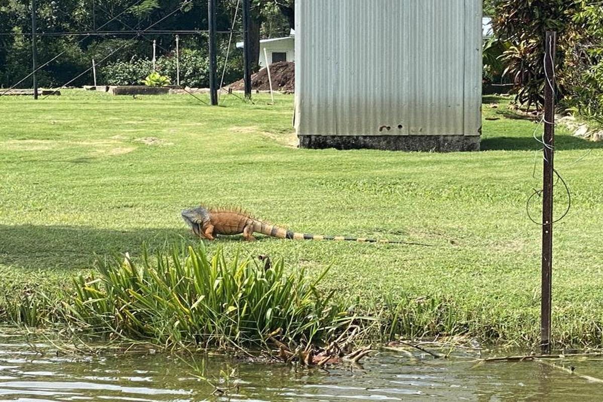 Altun Ha Mayan Site and Scenic Belize River