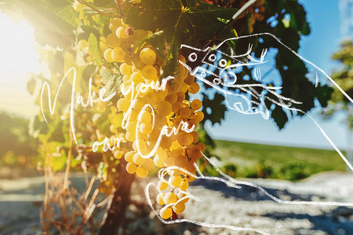 Make your Own Cava
