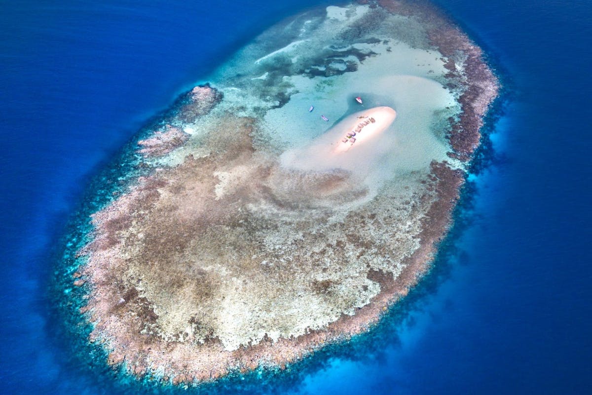 Cayo Arena, Catamaran, & Lunch