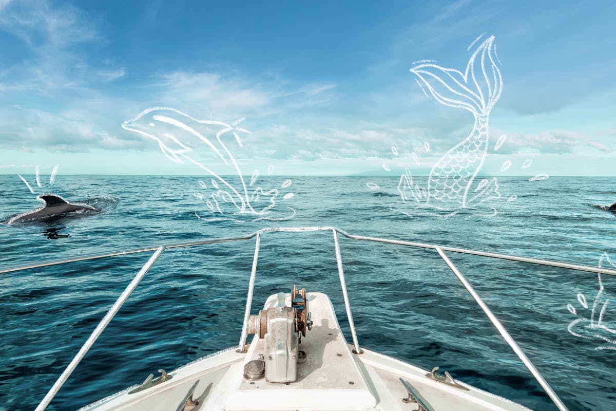 Las Palmas Outta This Ocean Safari