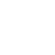 Confidence Icon