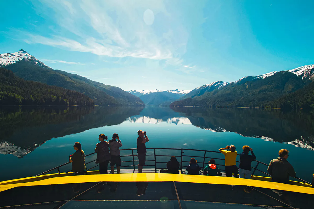 Whale & Marine Life Discovery Cruise