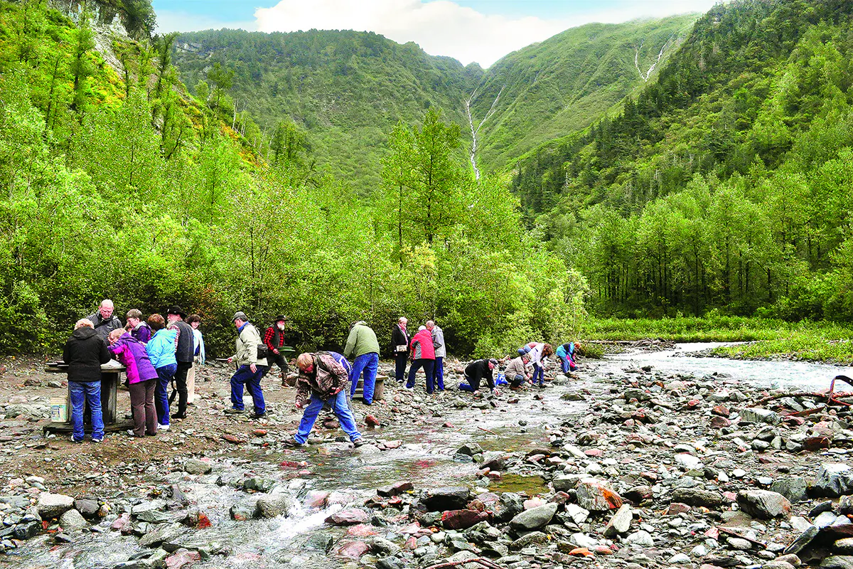 Gold Panning & Salmon Feast